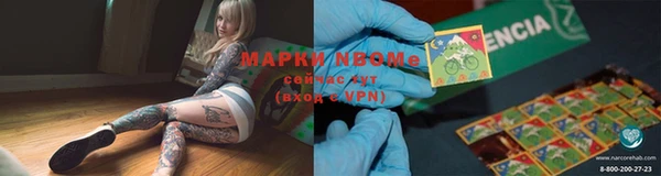 МДПВ Нефтегорск