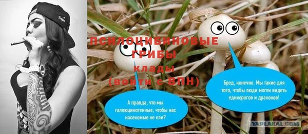 альфа пвп Новозыбков