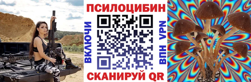 Псилоцибиновые грибы мицелий  наркота  Кувшиново 